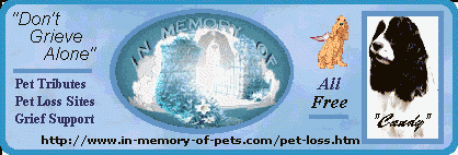 In Memory Of Pets