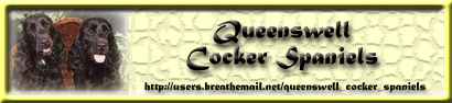 Queenswell Cocker Spaniels